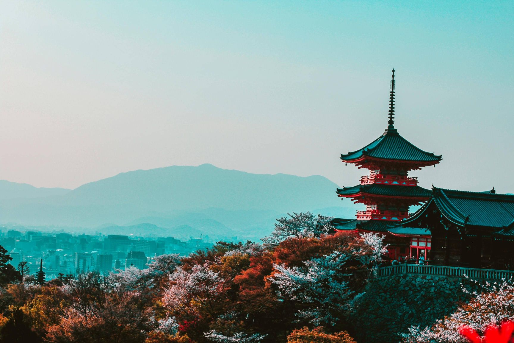 Discover the Magic of Kyoto, Japan